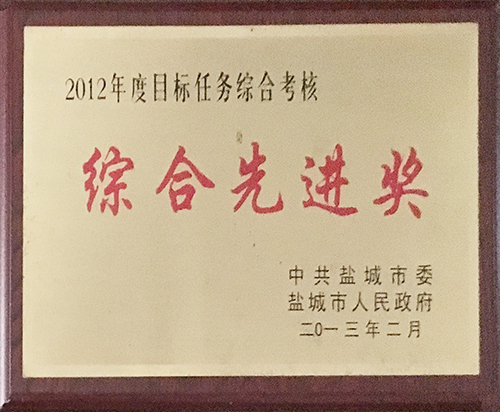 2013年2月目標(biāo)任務(wù)綜合考核綜合先進獎.JPG