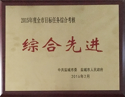 2016年2月全市目標(biāo)任務(wù)綜合考核綜合先進.JPG