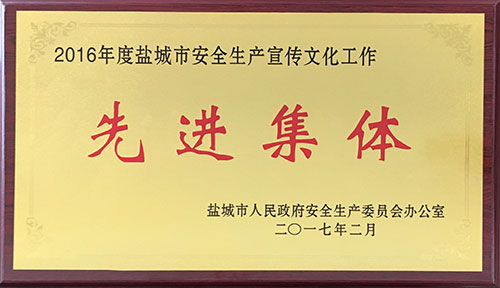 2016年2月全市目標(biāo)任務(wù)綜合考核綜合先進.JPG